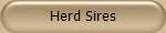 Herd Sires